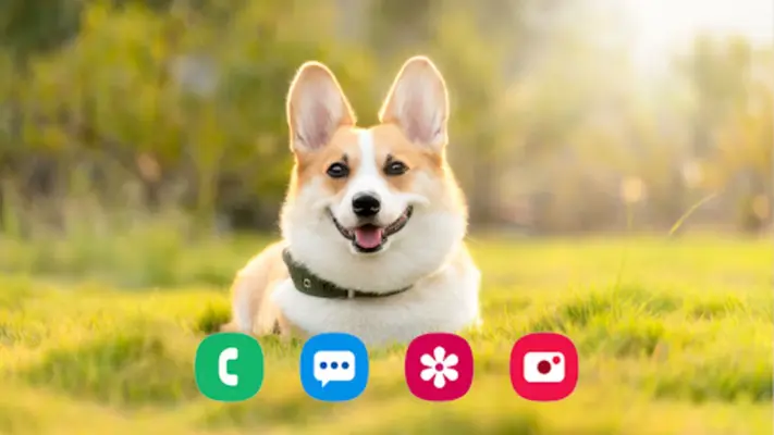 Dog Wallpaper android App screenshot 7